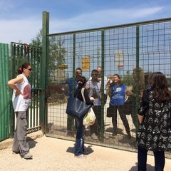 Caos al rifiugio San Francesco, scontro tra l'Oipa e la Lega Nazionale