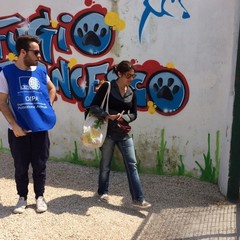 Caos al rifiugio San Francesco, scontro tra l'Oipa e la Lega Nazionale