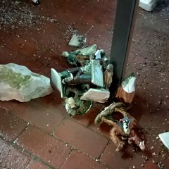 Vandali in azione nell'acquario della villa comunale