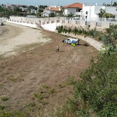 Pulizia straordinaria dei tratti di Colonna e Baia del pescatore
