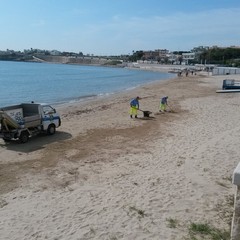 Pulizia straordinaria dei tratti di Colonna e Baia del pescatore