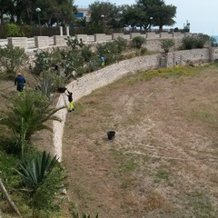 Pulizia straordinaria dei tratti di Colonna e Baia del pescatore