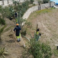 Pulizia straordinaria dei tratti di Colonna e Baia del pescatore