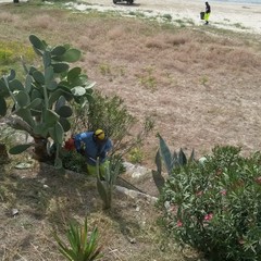 Pulizia straordinaria dei tratti di Colonna e Baia del pescatore