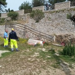 Pulizia straordinaria dei tratti di Colonna e Baia del pescatore