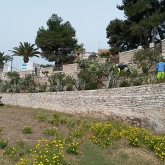 Pulizia straordinaria dei tratti di Colonna e Baia del pescatore