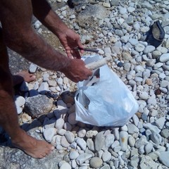 Spiaggia di Sant'Antuono ripulita dai rifiuti