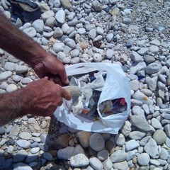 Spiaggia di Sant'Antuono ripulita dai rifiuti