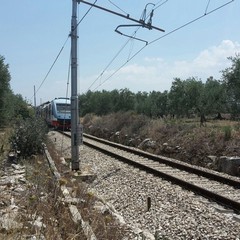 Scontro frontale tra due treni sulla Andria-Corato