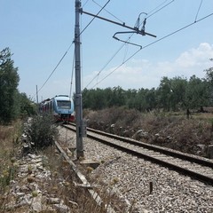 Scontro frontale tra due treni sulla Andria-Corato