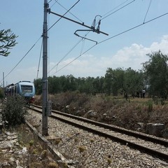 Scontro frontale tra due treni sulla Andria-Corato