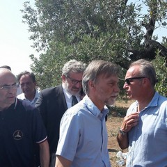 Graziano Delrio, Fabrizio Curcio, Gioacchino Giomi
