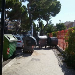 Parcheggi selvaggi sul viale di Colonna