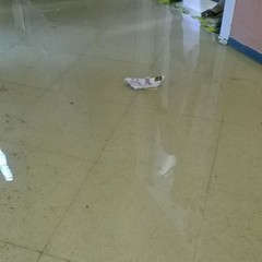 Allagato il reparto riabilitazione di Trani