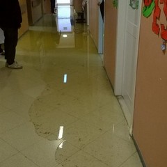 Allagato il reparto riabilitazione di Trani