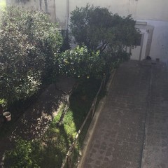 Asp "Vittorio Emanuele II", un altro tesoro sprecato