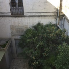 Asp "Vittorio Emanuele II", un altro tesoro sprecato