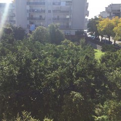 Asp "Vittorio Emanuele II", un altro tesoro sprecato