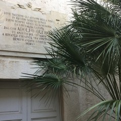 Asp "Vittorio Emanuele II", un altro tesoro sprecato