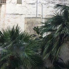 Asp "Vittorio Emanuele II", un altro tesoro sprecato