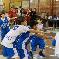 Asd Fortitudo