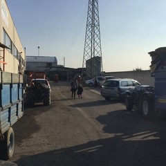 Frantoio Oro di Trani