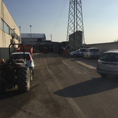 Frantoio Oro di Trani