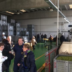 Frantoio Oro di Trani