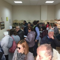 Frantoio Oro di Trani