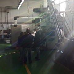 Frantoio Oro di Trani