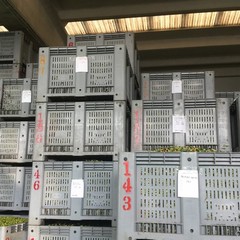 Frantoio Oro di Trani