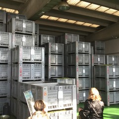 Frantoio Oro di Trani