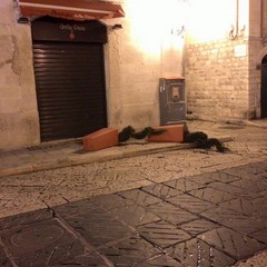 Vandali in azione nella notte, deturpate le fioriere di piazza Libertà