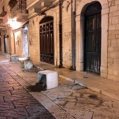 Vandali in azione nella notte, deturpate le fioriere di piazza Libertà