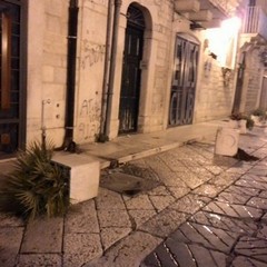 Vandali in azione nella notte, deturpate le fioriere di piazza Libertà