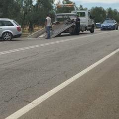 Incidente sulla provinciale 238, le foto