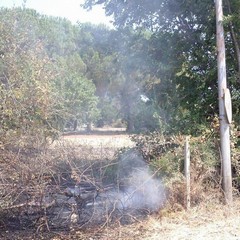 Incendio in un terreno tranese, intervento di Trani Soccorso