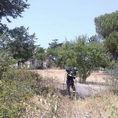 Incendio in un terreno tranese, intervento di Trani Soccorso