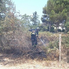Incendio in un terreno tranese, intervento di Trani Soccorso