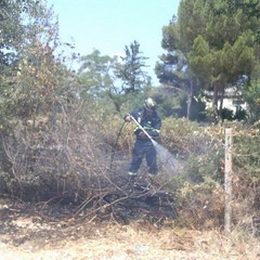 Incendio in un terreno tranese, intervento di Trani Soccorso