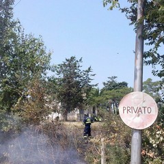 Incendio in un terreno tranese, intervento di Trani Soccorso