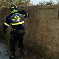 Nuovo incendio in via Torrente Antico
