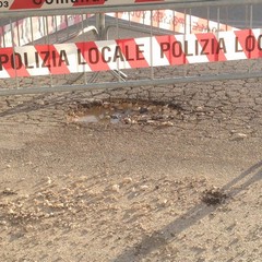 Buche in via Falcone e via Borsellino