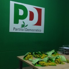 Una mimosa per celebrare le grandi donne tranesi