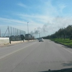 Incendio roulotte nomadi