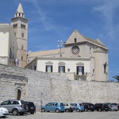 Porta Vassalla e il suo muraglione ripuliti da incuria e abbandono