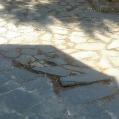 Scuola Dell'Olio