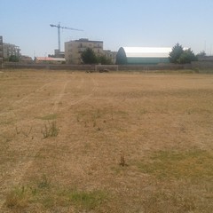 lavori stadio
