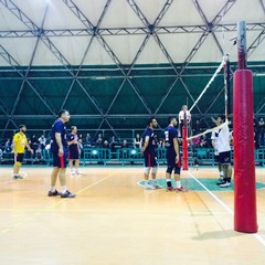 Telmasud Volley