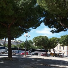 Bus piazza Gradenico